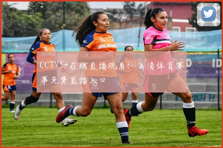 CCTV5+在线直播观看：高清体育赛事免费直播入口